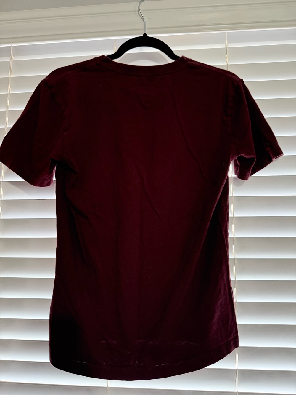 American Eagle Outfitters Men's Short Sleeve Crew Tee - Burgundy